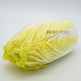 JPXSTP-00093