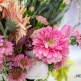 JPXSTP-00096