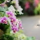 JPXSTP-00308